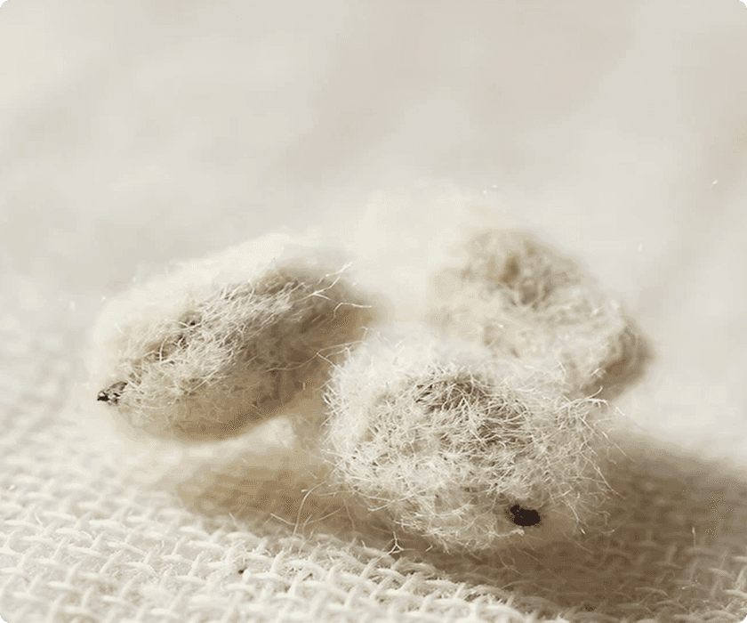 cottonseed